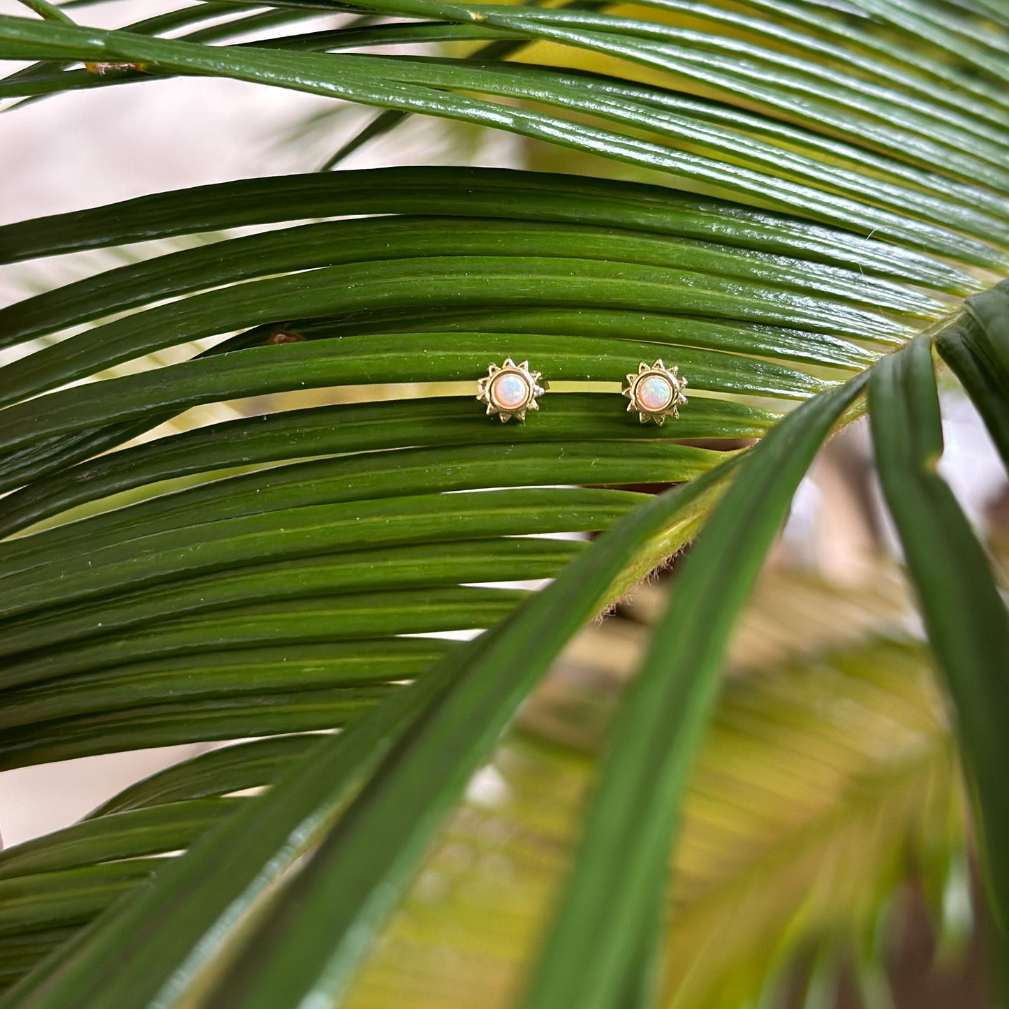 Sunburst Opal Studs