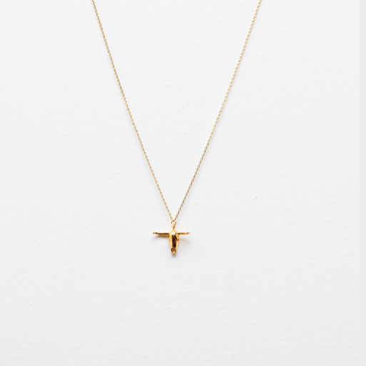 Longhorn Necklace