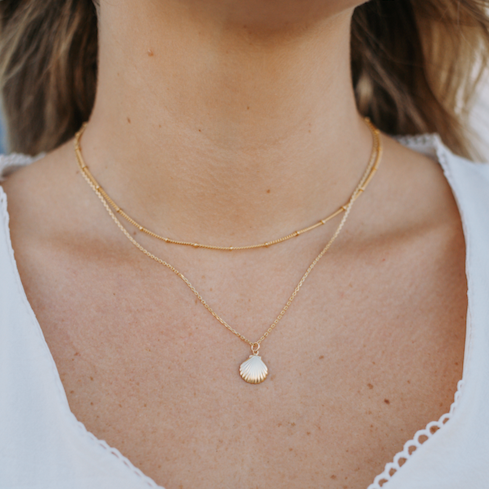 Seashell Necklace