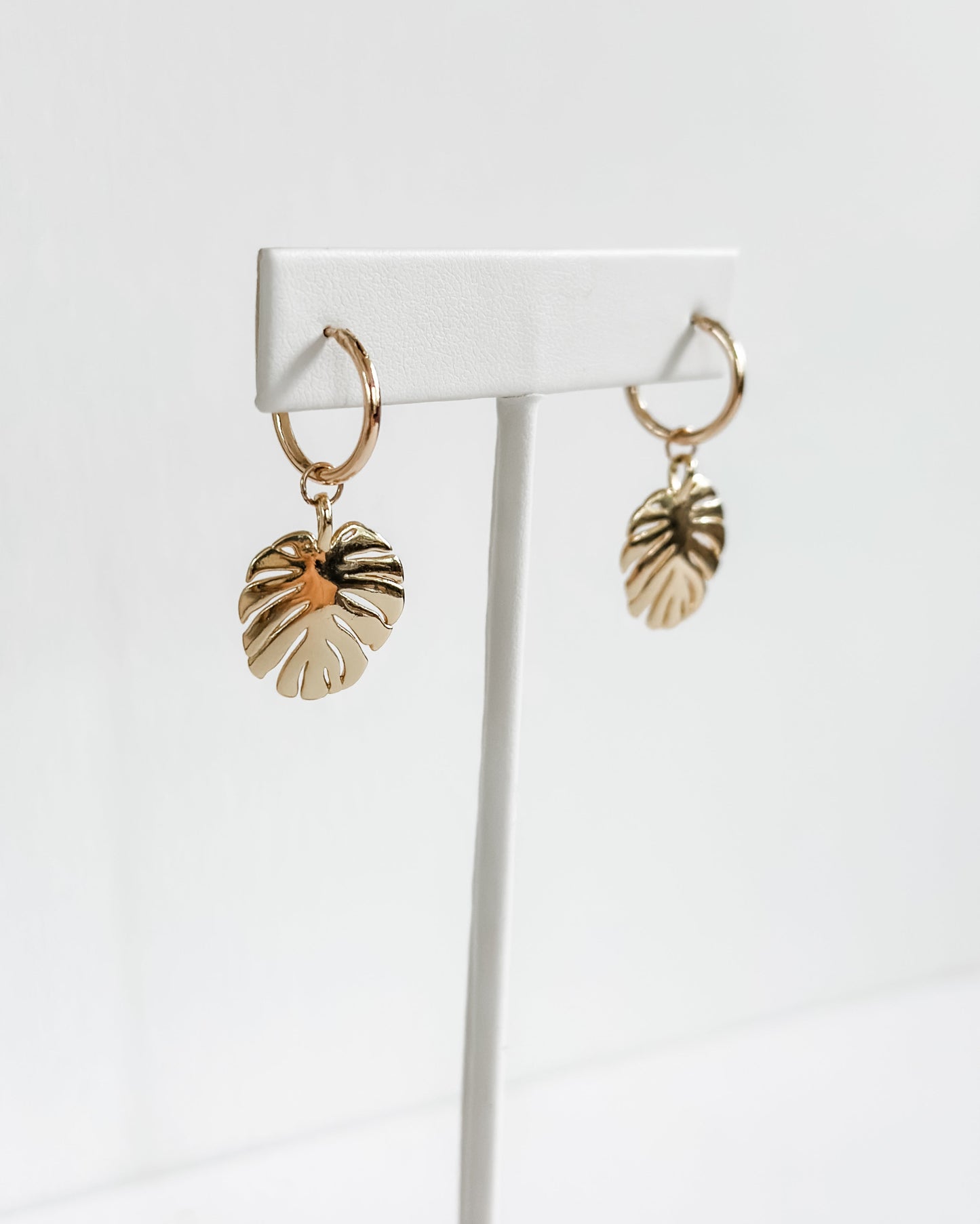 The Isla Hoops