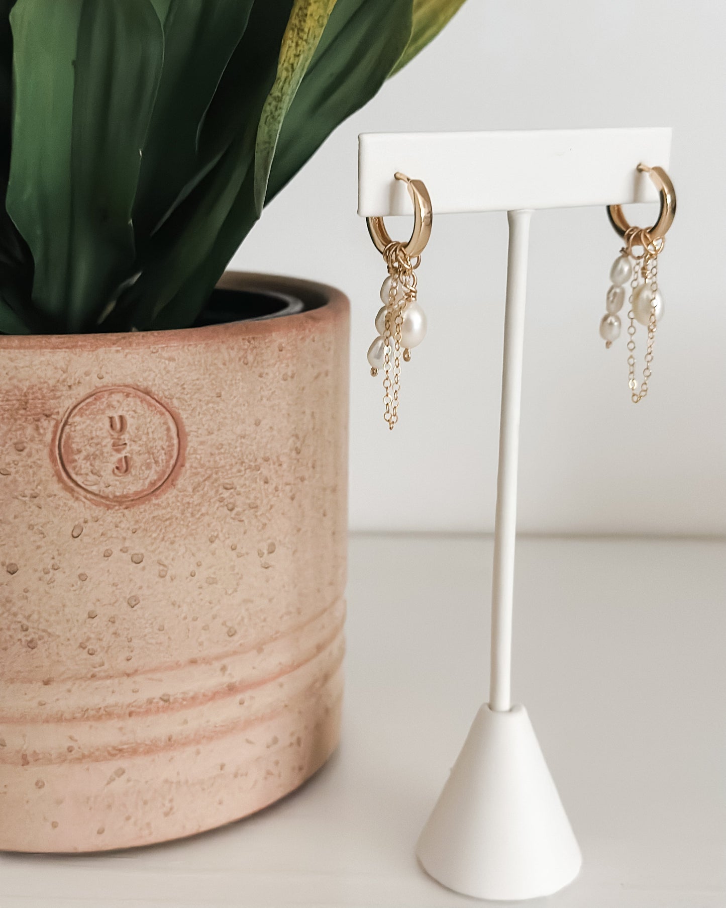 The Havana Hoops