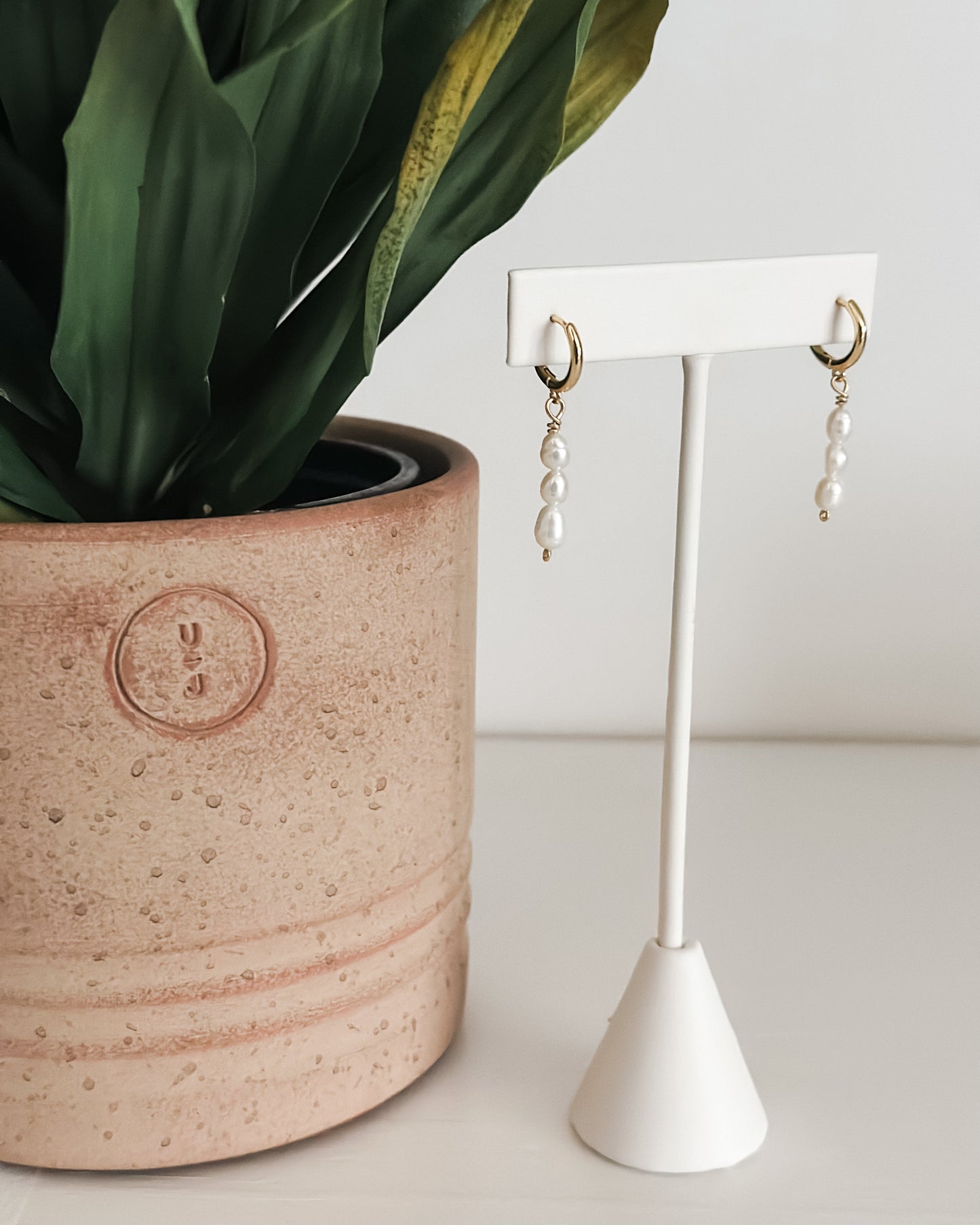 The Paloma Hoops