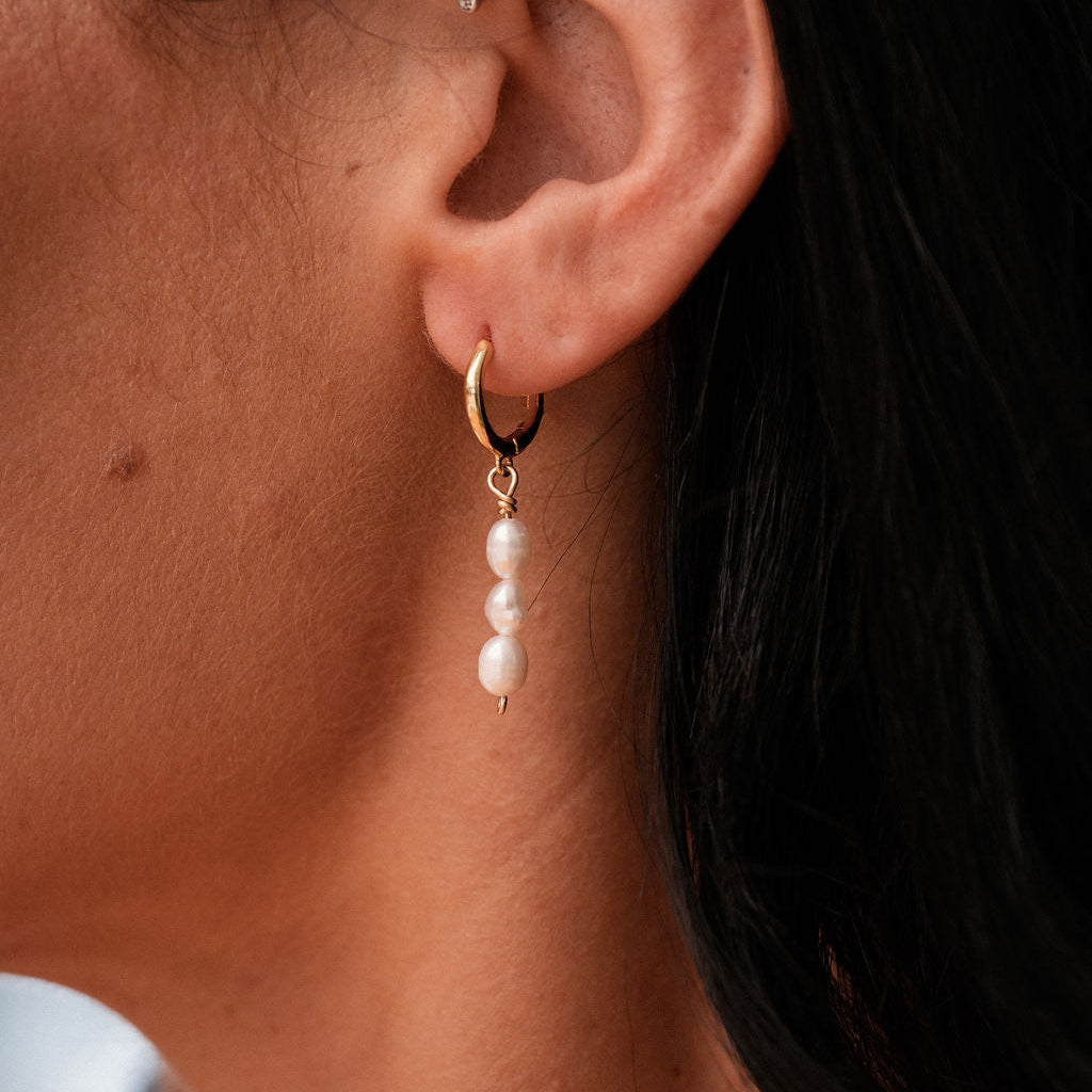 The Paloma Hoops