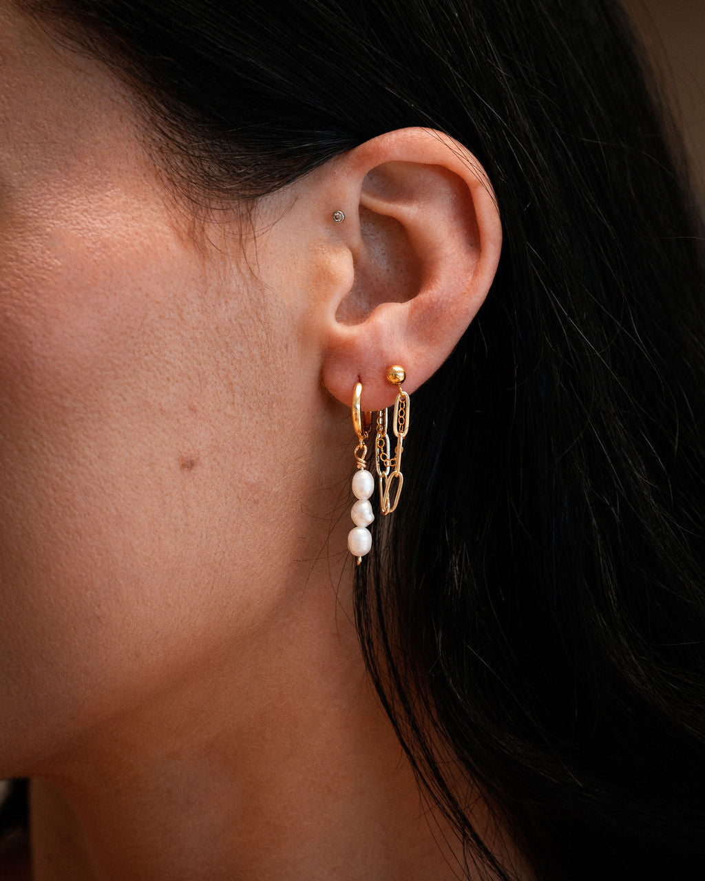 The Paloma Hoops